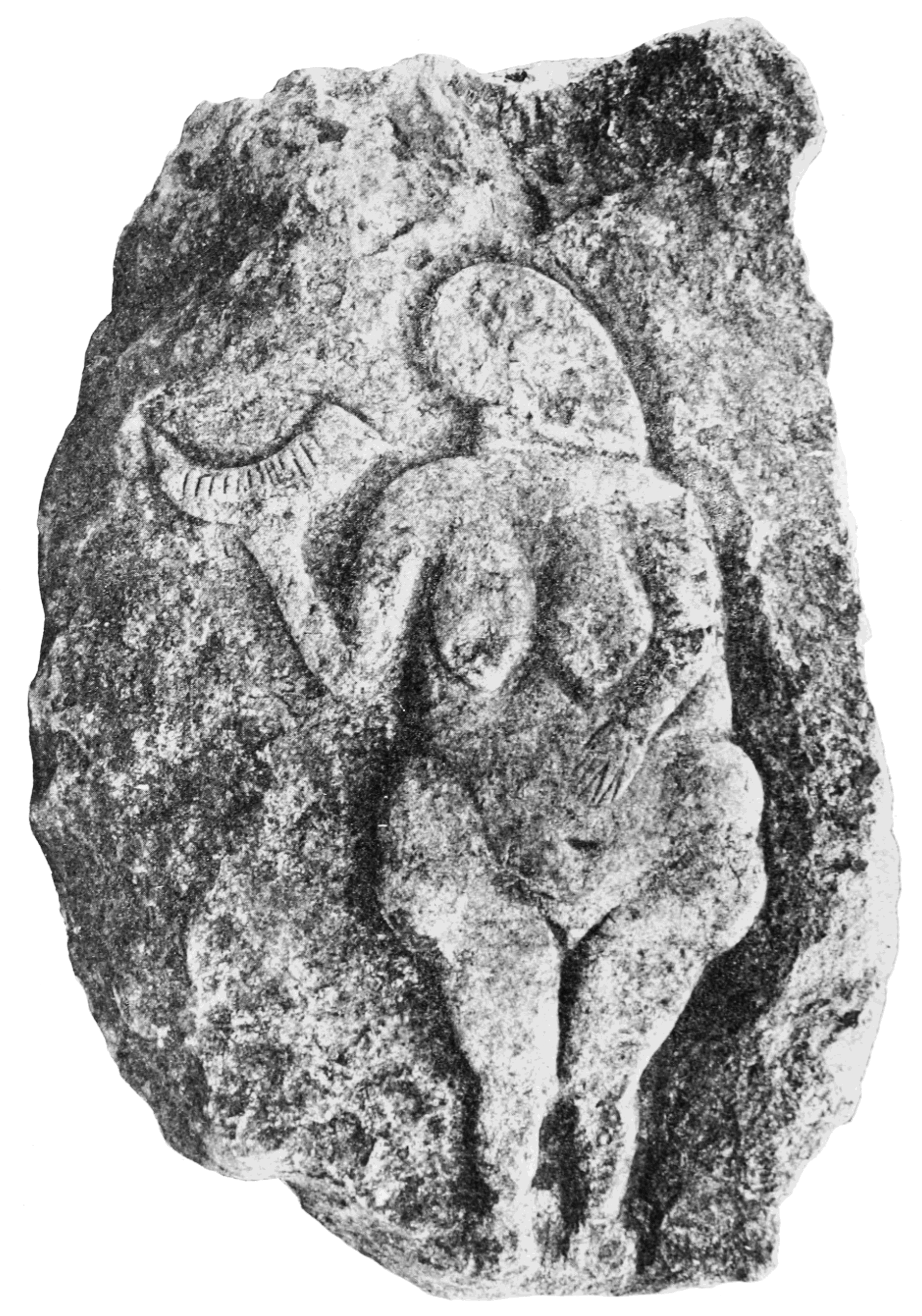 PSM V83 D016 Bas relief from the rock shelter of laussel in dordogne.png