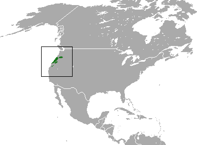 파일:Pacific Shrew area.png