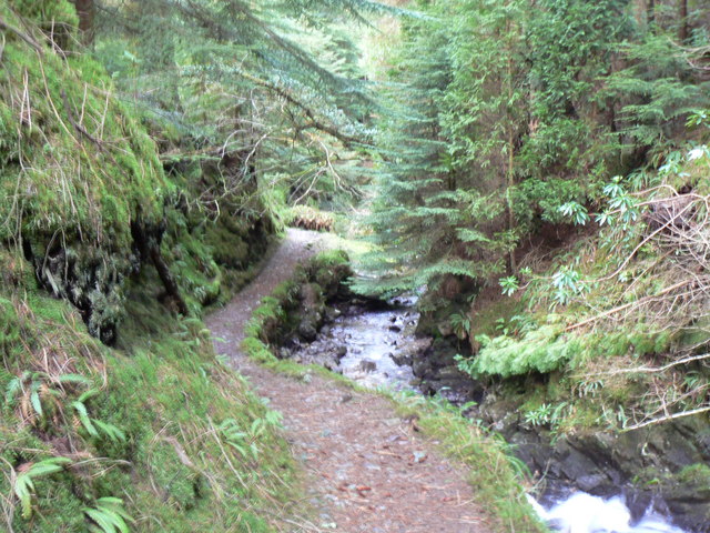 Path through Puck's Glen - geograph.org.uk - 320949