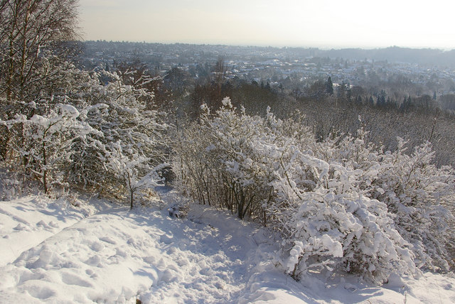 File:Path up Colley Hill - geograph.org.uk - 1654213.jpg