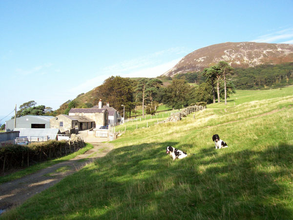 File:Plas Uchaf Farm - geograph.org.uk - 241194.jpg