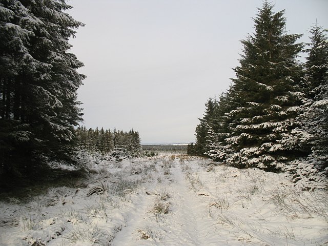 File:Road to West Colzium - geograph.org.uk - 1704052.jpg