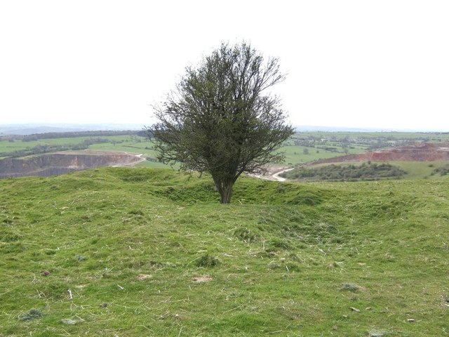 Solitary Hawthorn Tree on the Weaver Hills - geograph.org.uk - 779068