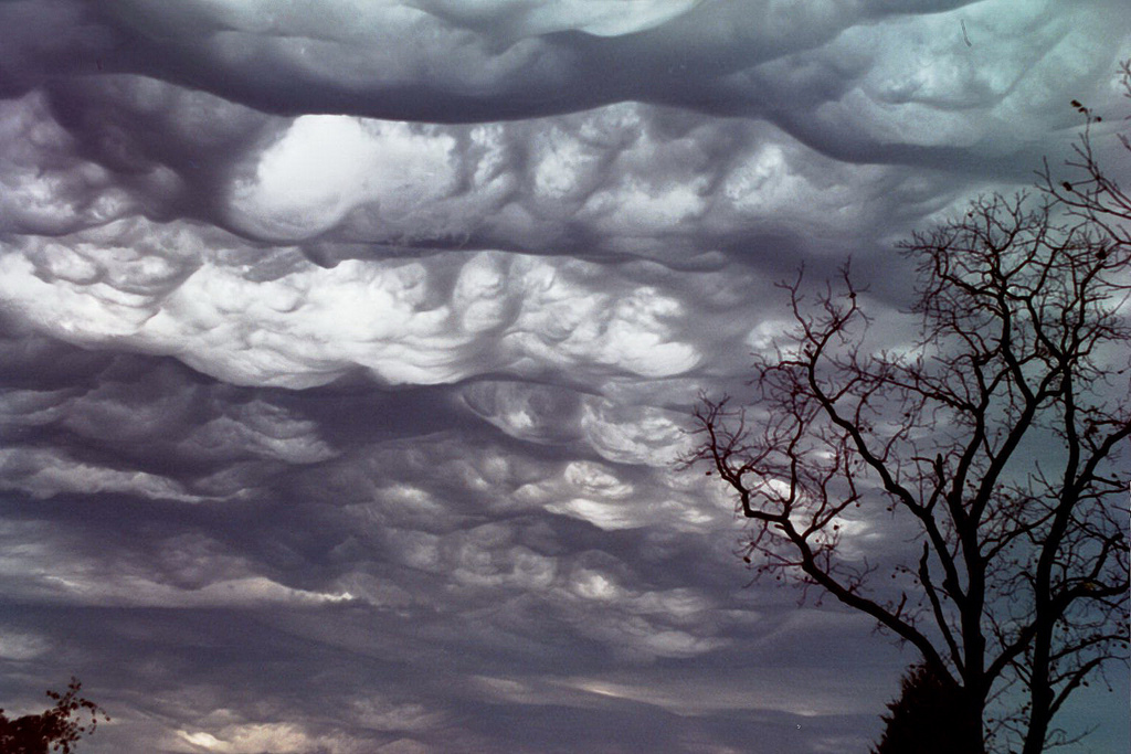 stratocumulus undulatus