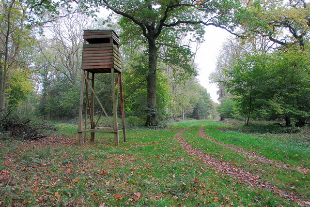 Near wood. Sutton Wood.