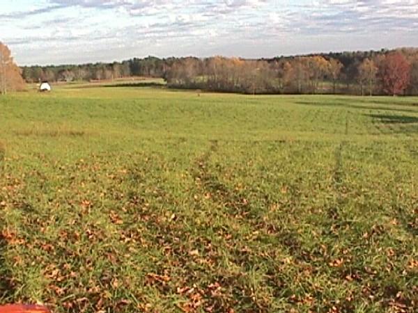 File:Vaughter's Farm ~ Guided Hikes Only - panoramio.jpg