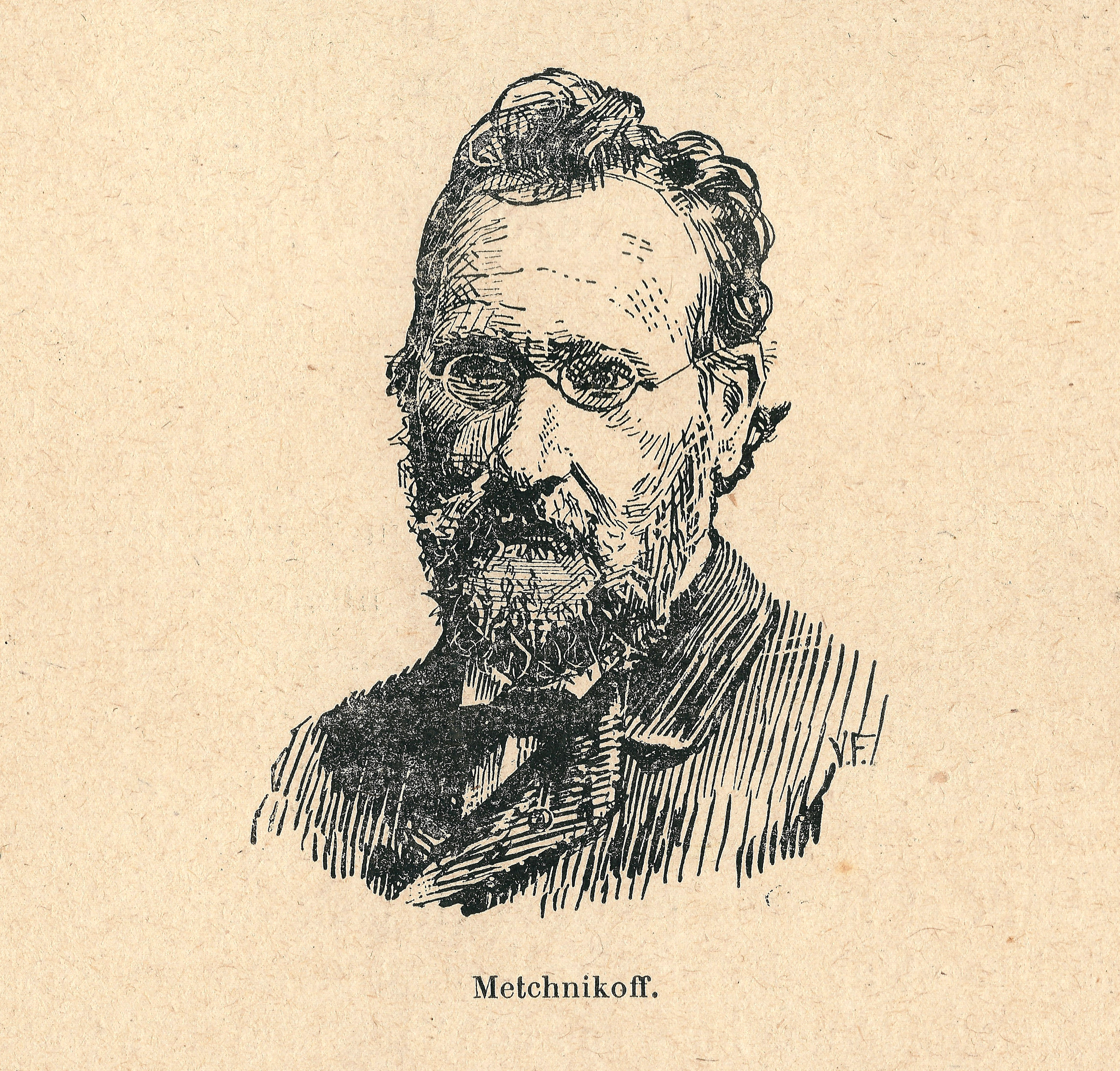 Elie Metchnikoff