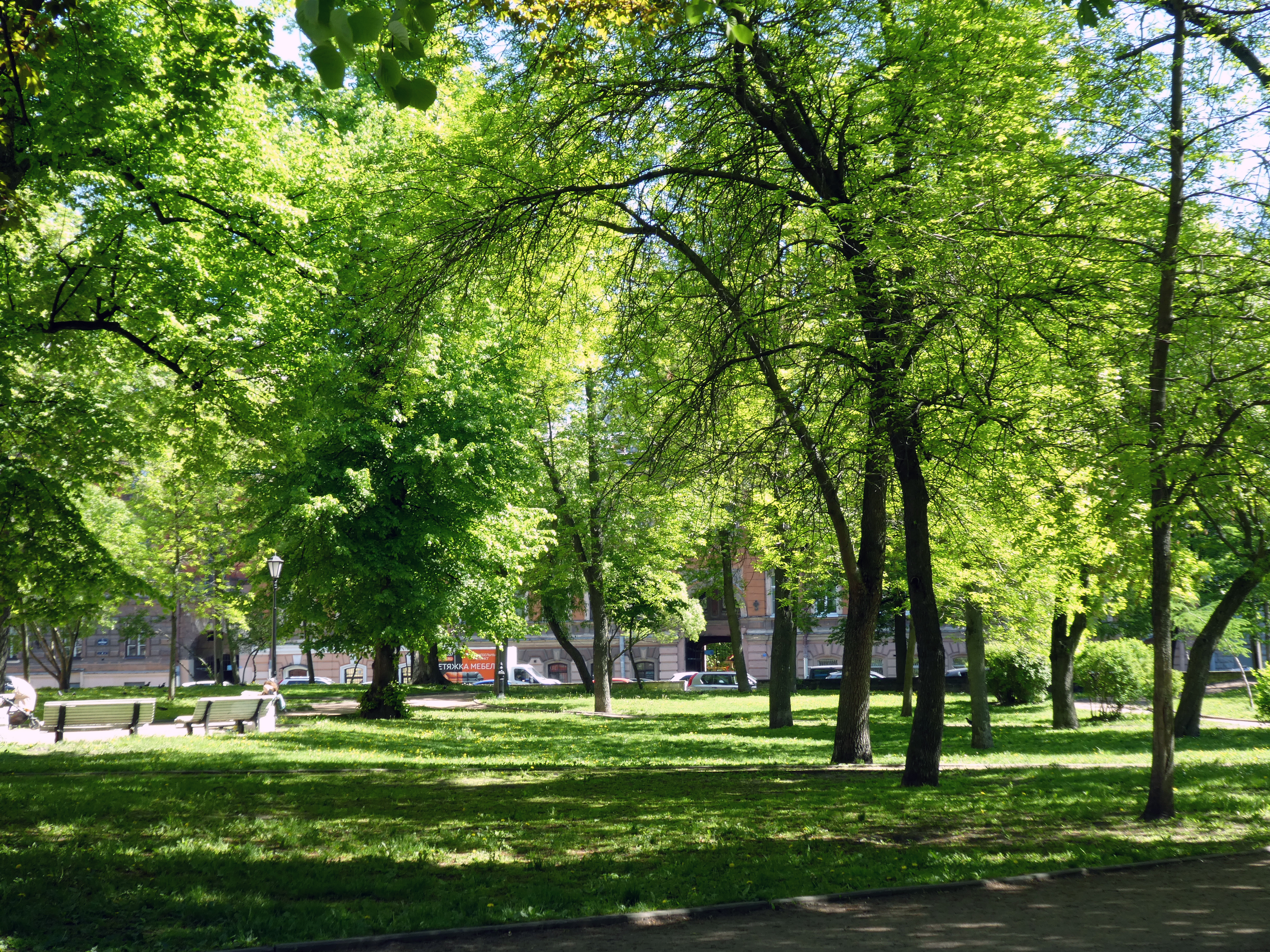 Алексеевский сад в Санкт-Петербурге