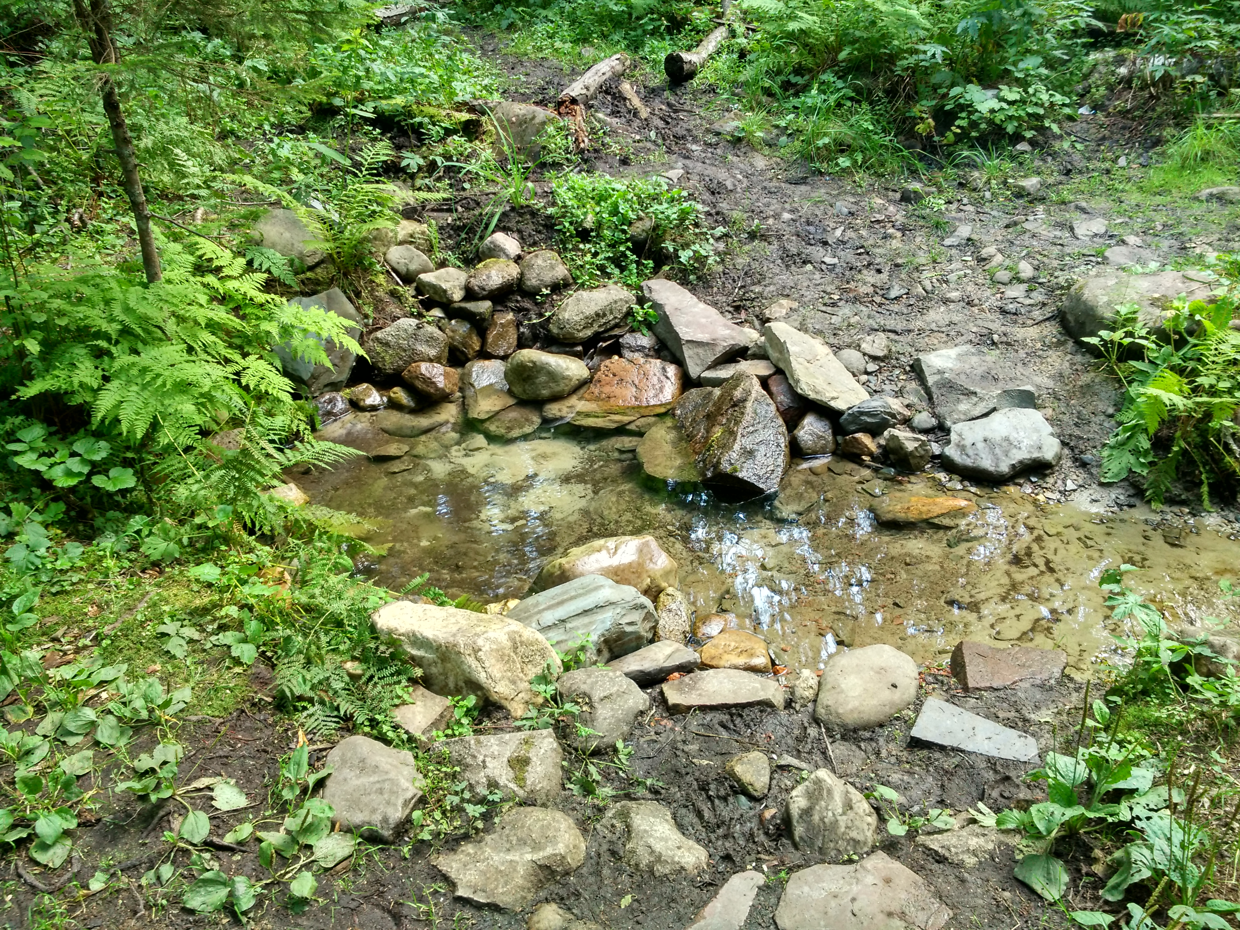 Родники памятник природы