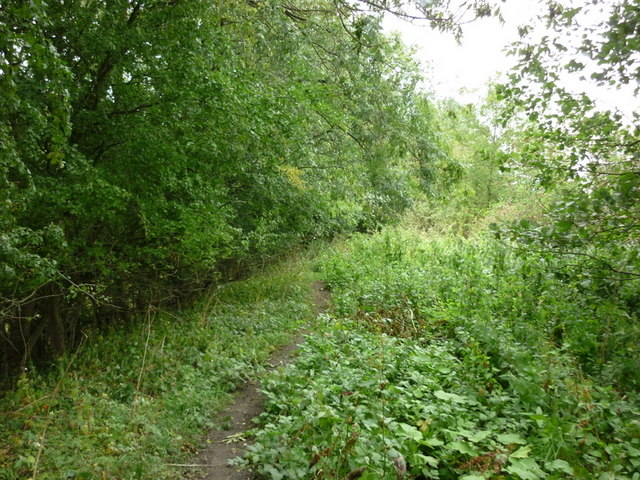 File:A walk from Pickering ^137 - geograph.org.uk - 2045241.jpg