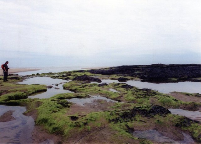 File:Bamburgh beach and rock pools - geograph.org.uk - 1312797.jpg