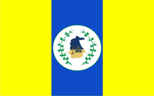 File:Bandeira do municpio de Itapipoca.jpg