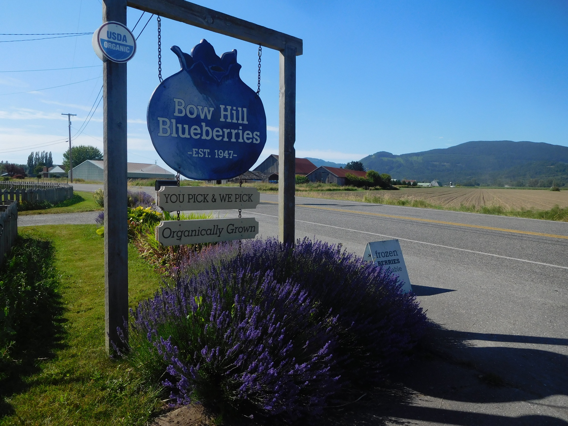 Blueberry Hill где находится. Blueberry Hill текст. Skagit County, Washington Bridges.