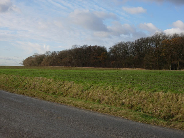 File:Brinkley Wood - geograph.org.uk - 1056422.jpg