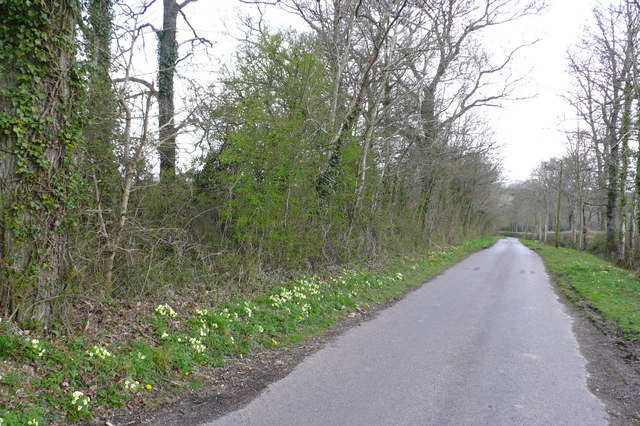 File:Broke Lane near Longburton - geograph.org.uk - 763849.jpg