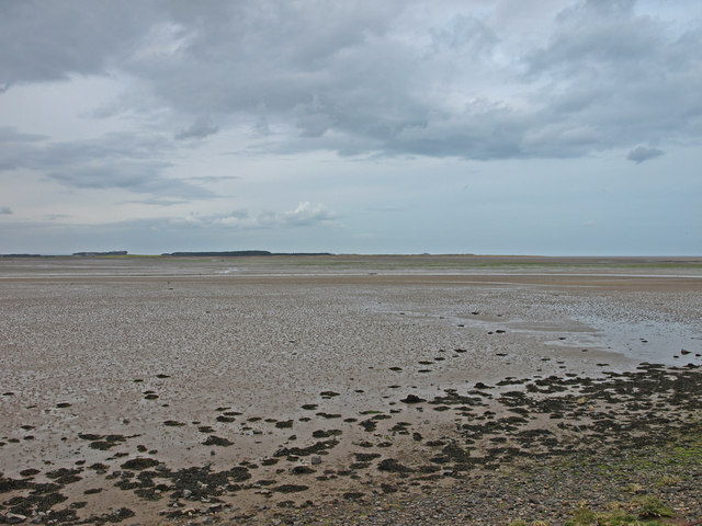Budle Bay - geograph.org.uk - 785293