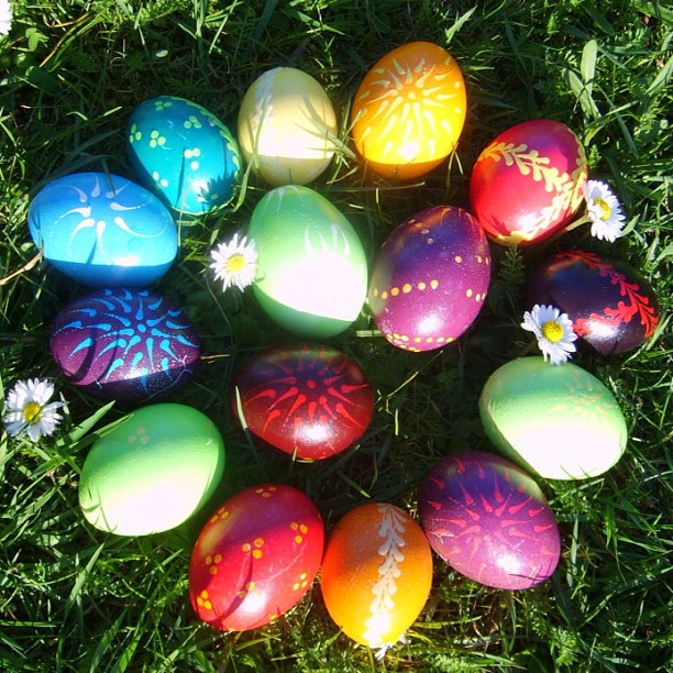 easter eggs in grass