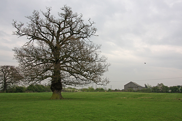 File:Farmland Near Bentley Heath - geograph.org.uk - 1261589.jpg