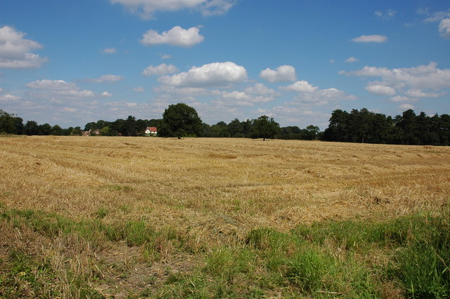 File:Field to the south of Browns Green - geograph.org.uk - 523545.jpg