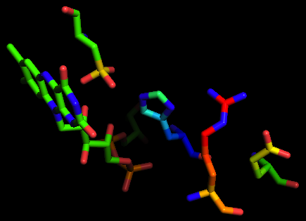 File:Four residues essential for active site functionality in NADH Peroxidase.png