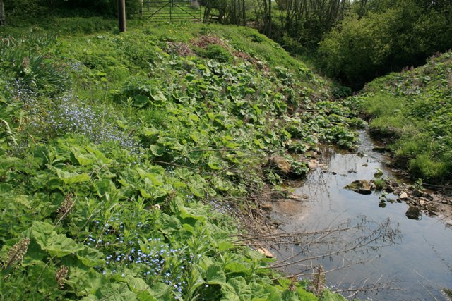 File:Kniveton Brook - geograph.org.uk - 417699.jpg