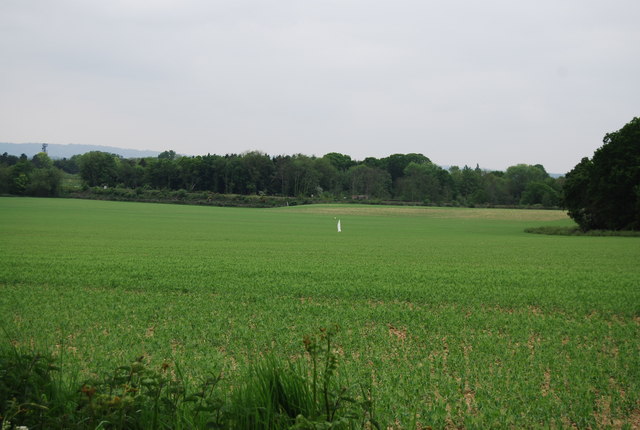 North field