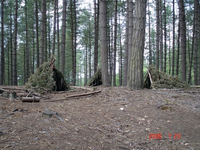 File:Manley. Cod "Neolithic" camp, Delamere Forest - geograph.org.uk - 207804.jpg