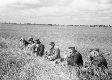 Landarbeiders nuttigen hun middagmaal bij Nieuw-Scheemda, Oldambt, Groningen, Nederland, c. 1955