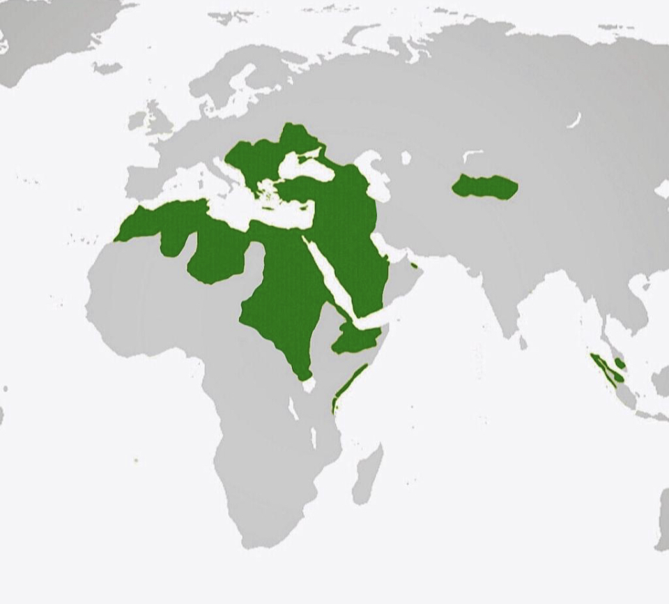 Ottoman_Empire_World_Map.jpg