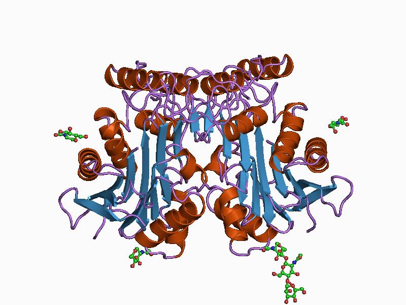 File:PDB 1apy EBI.jpg