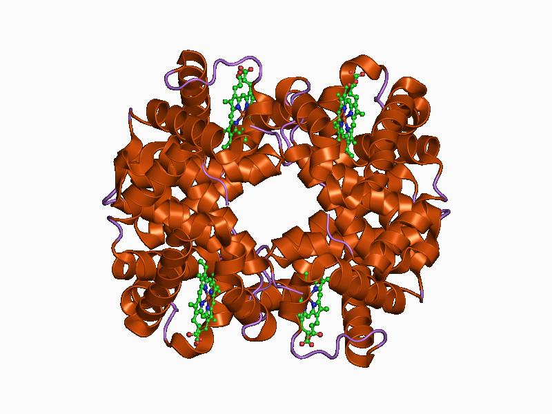 File:PDB 1c7d EBI.jpg