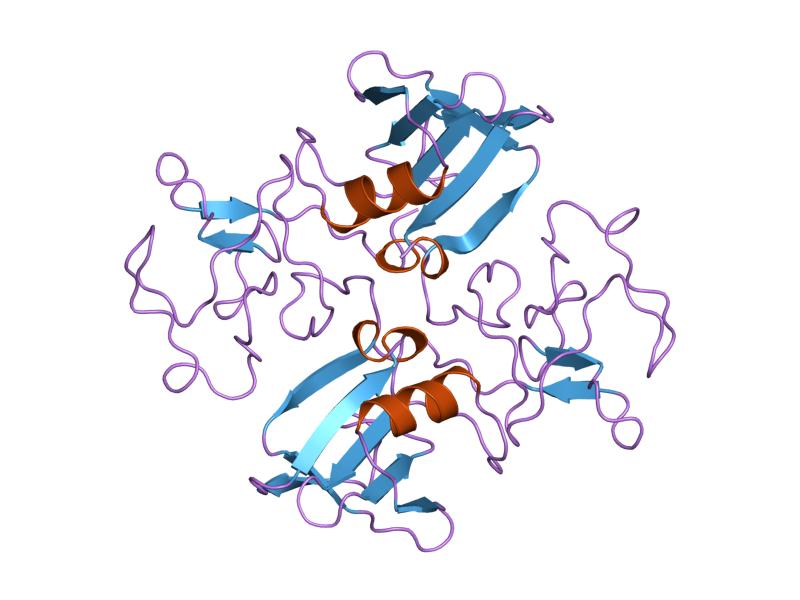 File:PDB 1nk1 EBI.jpg