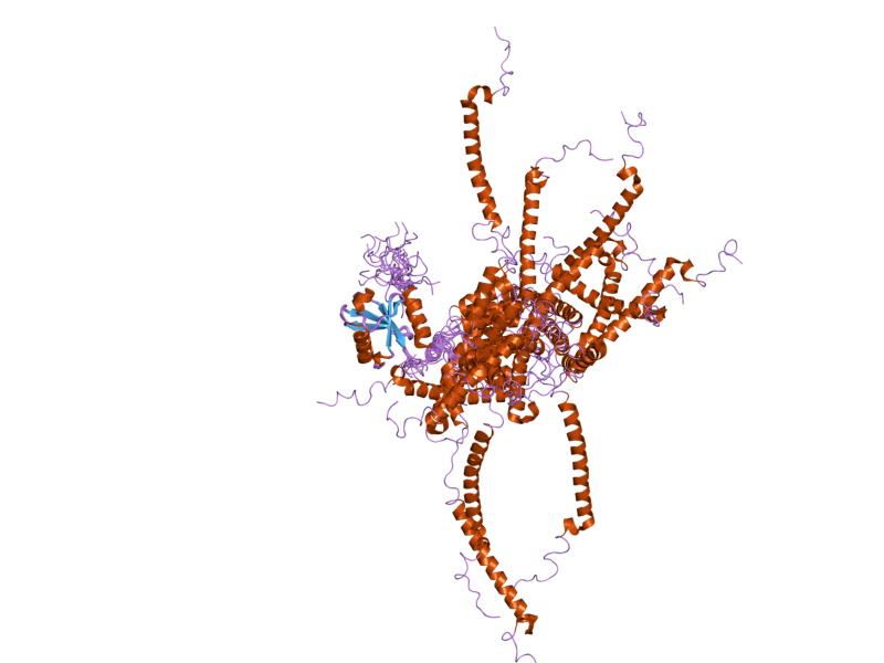 File:PDB 1yx6 EBI.jpg