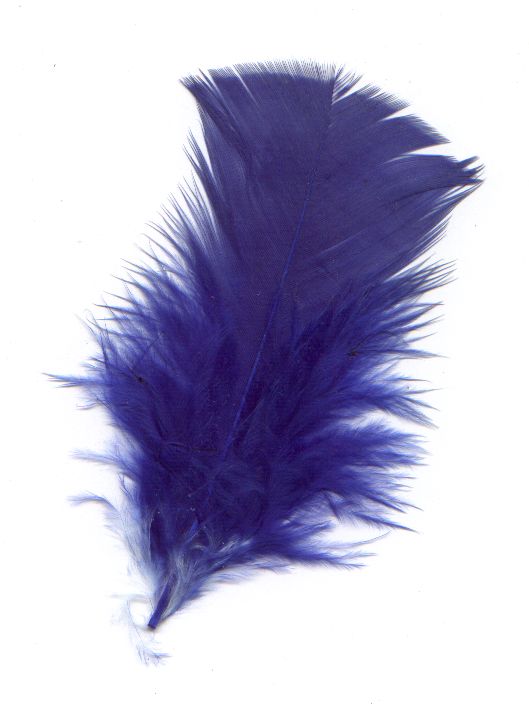 Pluma azul foto de archivo. Imagen de soplo, lengüeta - 18871814