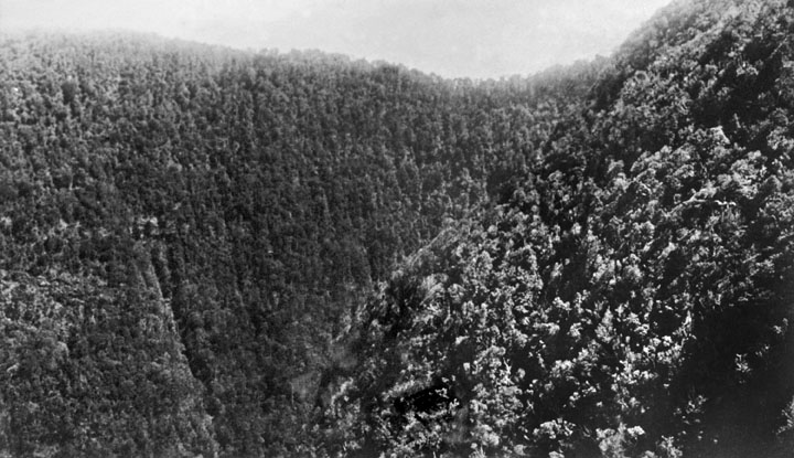 File:Queensland State Archives 1184 Echo Gorge National Park South Queensland c 1930.png