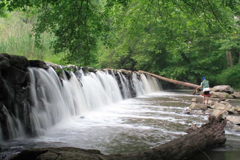 Ridley Creek Falls - panoramio.jpg.