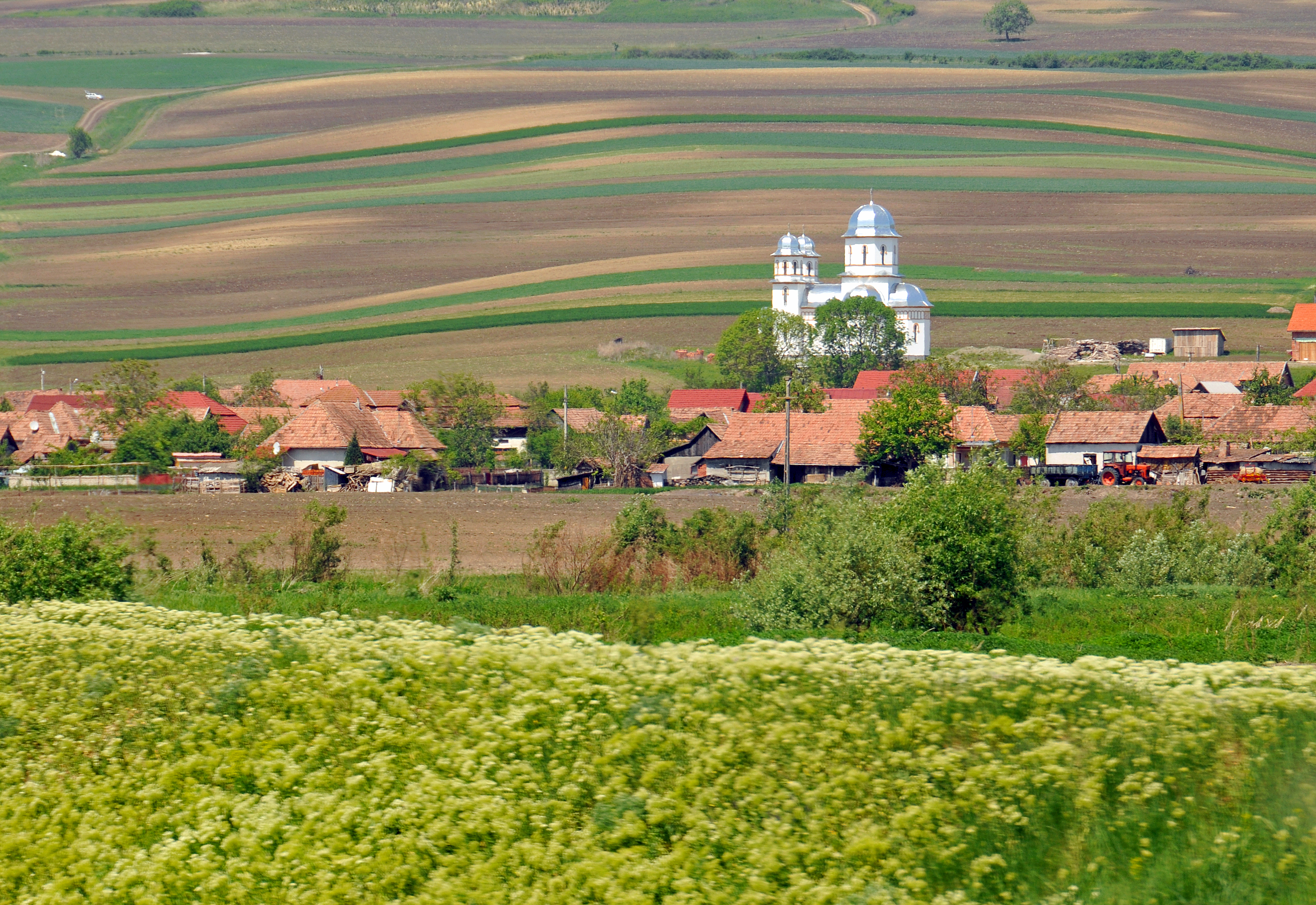 Лубница село