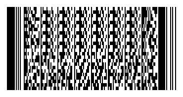 PDF417 Barcode made with kbarcode