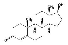 File:Testosterona.jpg