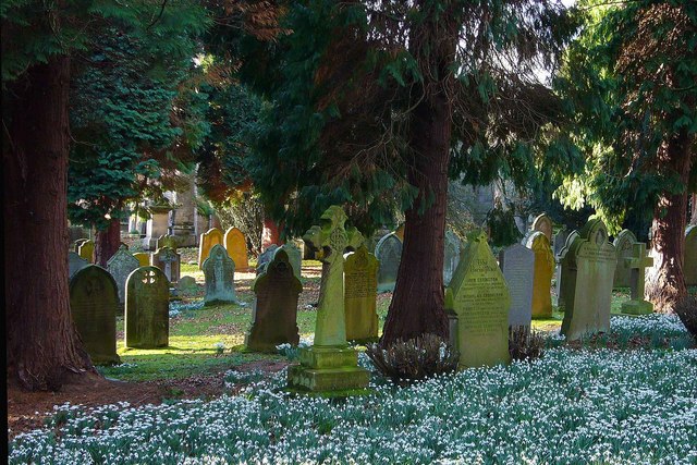 The Churchyard, St.John Lee - geograph.org.uk - 343901