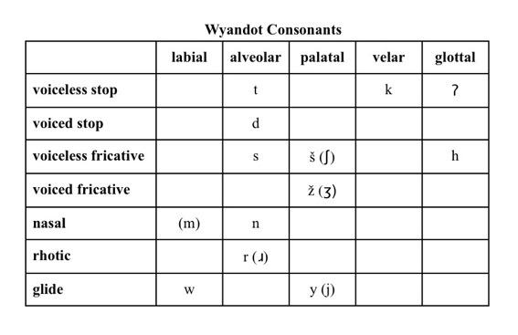 Noves consonants wyandot