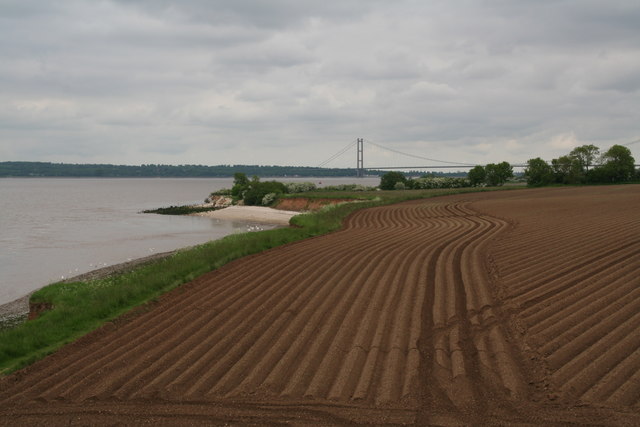 File:Along South Ferriby Cliff - geograph.org.uk - 4974657.jpg