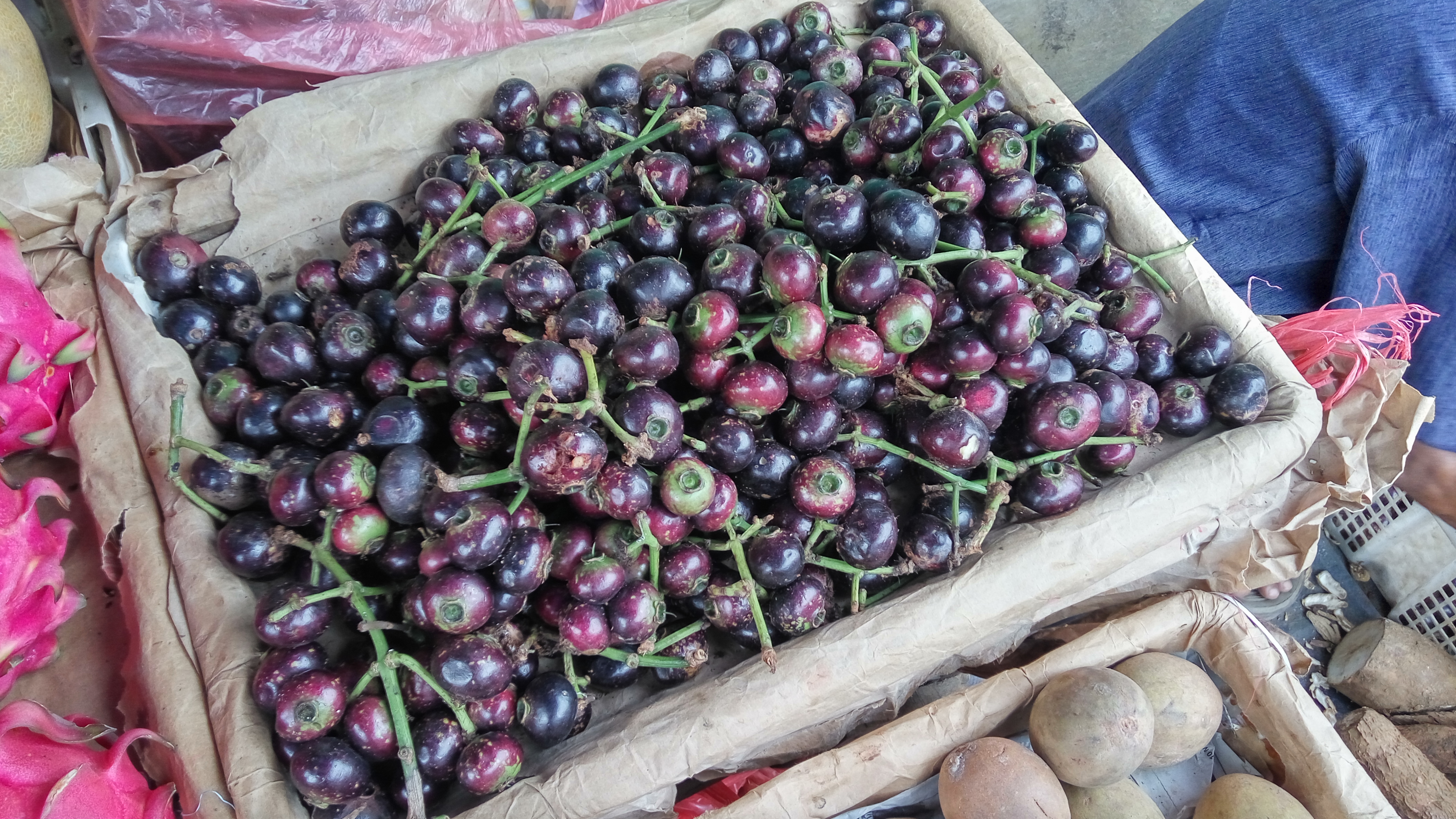 4000 Gambar  Buah buahan Dan  Namanya  Dalam  Bahasa  Inggris  