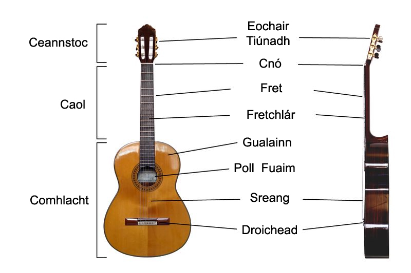 File:Classical Guitar labelled irish.jpg - Wikipedia