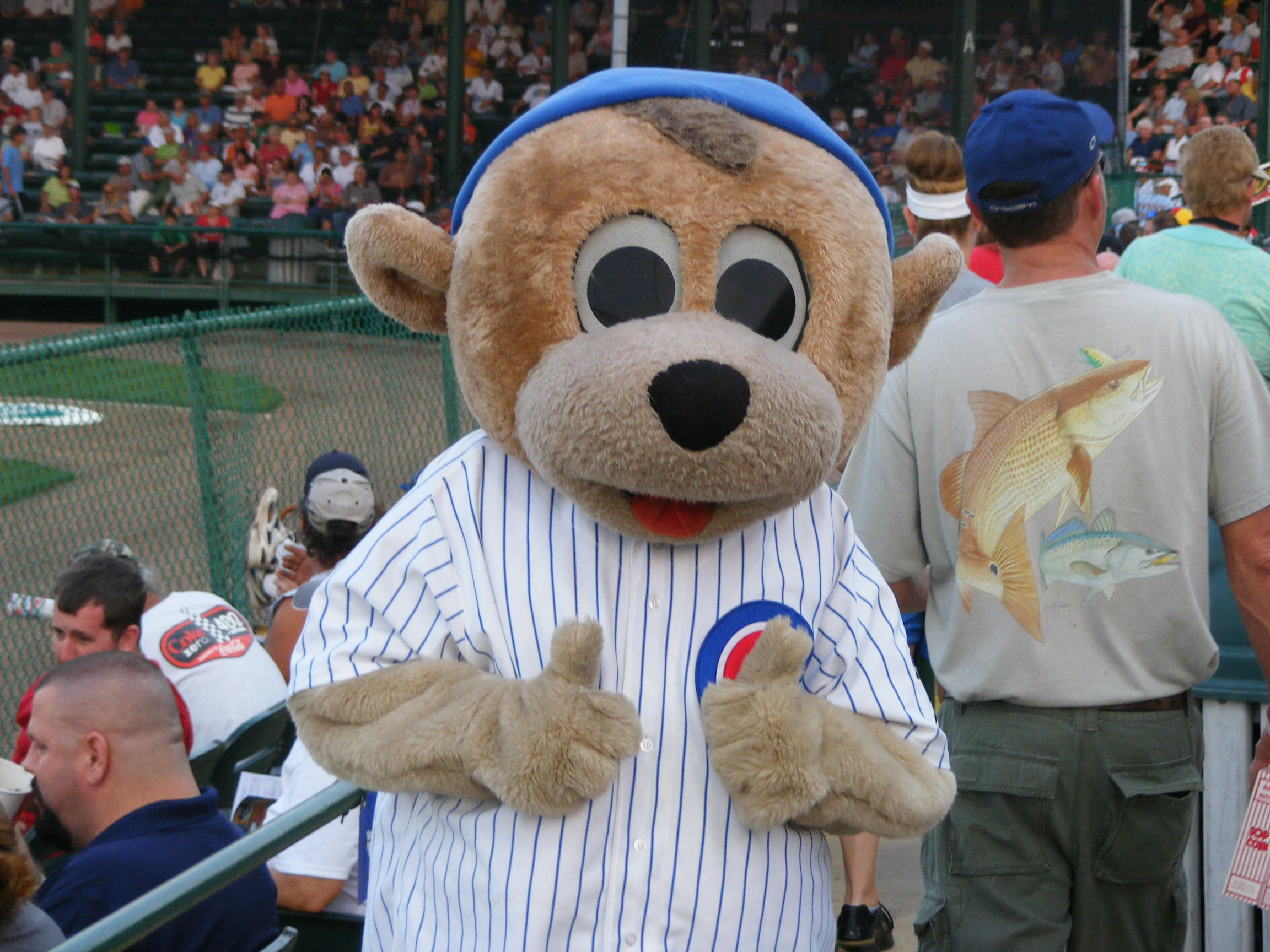 File:Daytona Cubs Mascot Cubby 1423.JPG - Wikimedia Commons