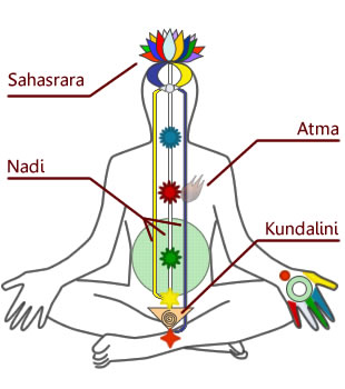 File:DiagrammaChakraKundalini.jpg