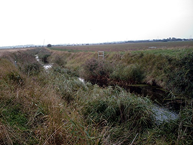 File:Drain upstream of Marshhouse Outfall - geograph.org.uk - 240783.jpg