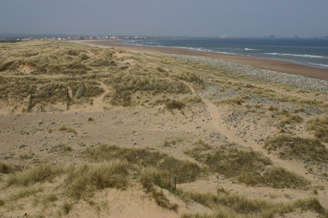 File:Dunes at Seaton Sands - geograph.org.uk - 164274.jpg