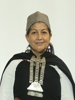 <span class="mw-page-title-main">Elisa Loncón</span> Chilean Indigenous rights activist