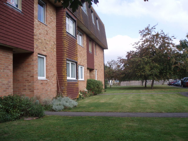 File:Elmdale Flats, Barnham - geograph.org.uk - 576710.jpg